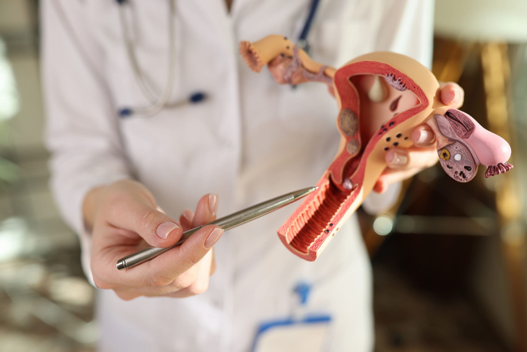 Doctor explaining female reproductive anatomy.