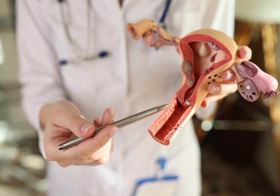 Doctor explaining female reproductive anatomy.